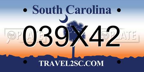 039X42 South Carolina License Plate
