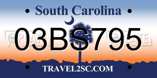 03BS795 South Carolina License Plate