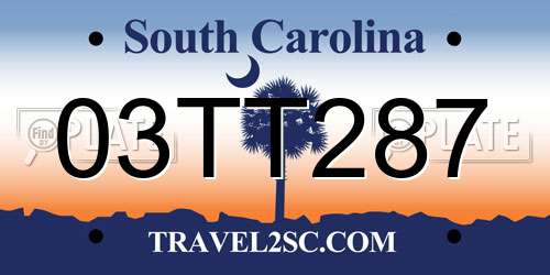 03TT287 South Carolina License Plate
