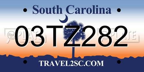03TZ282 South Carolina License Plate