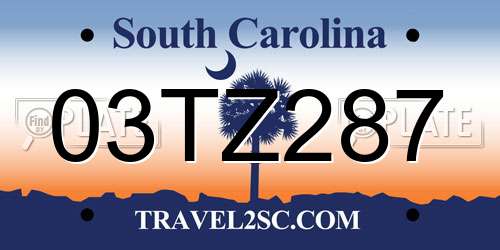 03TZ287 South Carolina License Plate