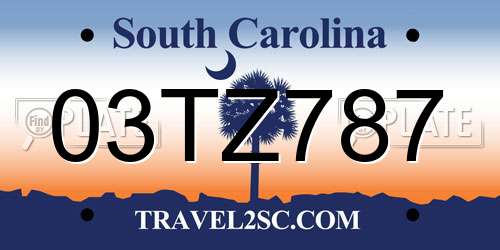 03TZ787 South Carolina License Plate