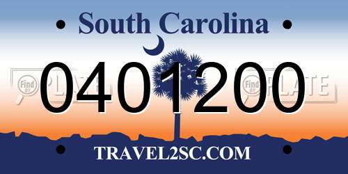 0401200 South Carolina License Plate
