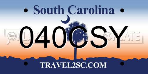 040CSY South Carolina License Plate