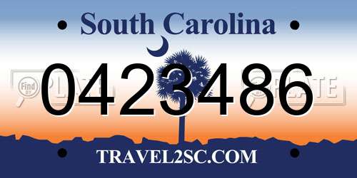 0423486 South Carolina License Plate