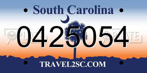0425054 South Carolina License Plate