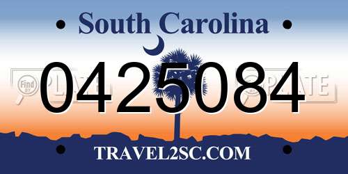 0425084 South Carolina License Plate