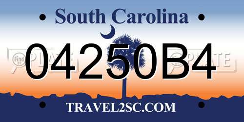 04250B4 South Carolina License Plate