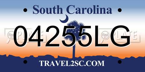 04255LG South Carolina License Plate
