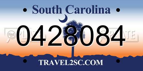 0428084 South Carolina License Plate