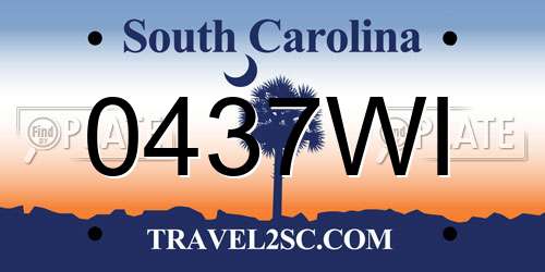 0437WI South Carolina License Plate