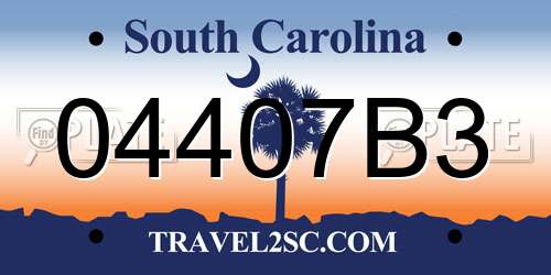 04407B3 South Carolina License Plate