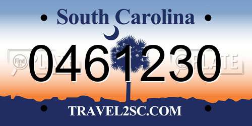 0461230 South Carolina License Plate