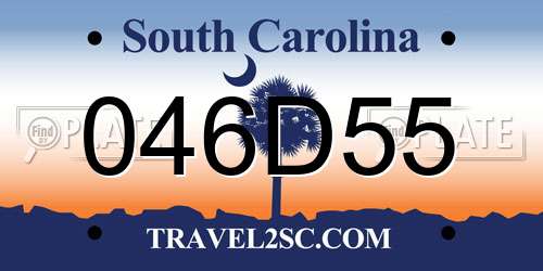 046D55 South Carolina License Plate