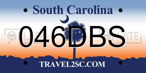 046DBS South Carolina License Plate