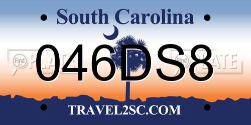 046DS8 South Carolina License Plate