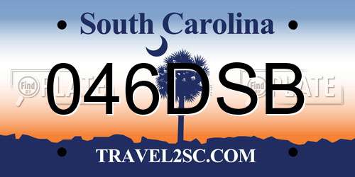 046DSB South Carolina License Plate