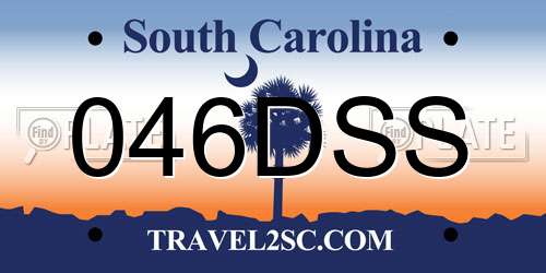 046DSS South Carolina License Plate