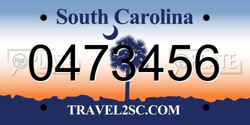 0473456 South Carolina License Plate