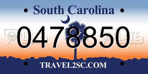 0478850 South Carolina License Plate