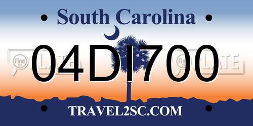 04DI700 South Carolina License Plate