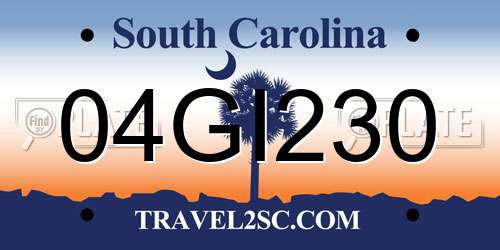 04GI230 South Carolina License Plate