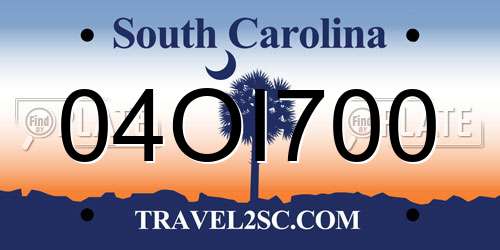 04OI700 South Carolina License Plate