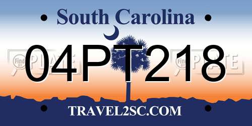 04PT218 South Carolina License Plate