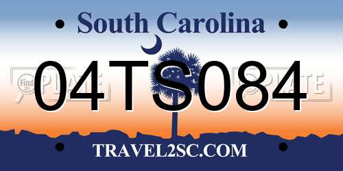 04TS084 South Carolina License Plate