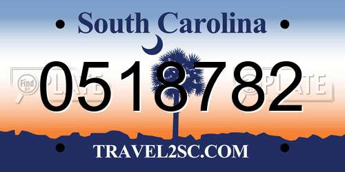 0518782 South Carolina License Plate