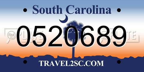 0520689 South Carolina License Plate