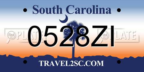 0528ZI South Carolina License Plate