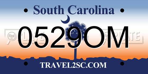 0529OM South Carolina License Plate
