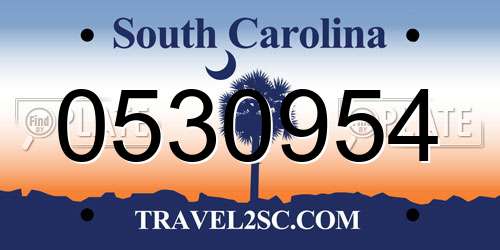0530954 South Carolina License Plate