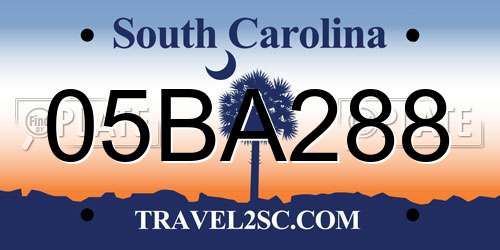 05BA288 South Carolina License Plate