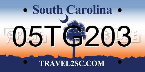 05TG203 South Carolina License Plate