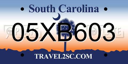 05XB603 South Carolina License Plate