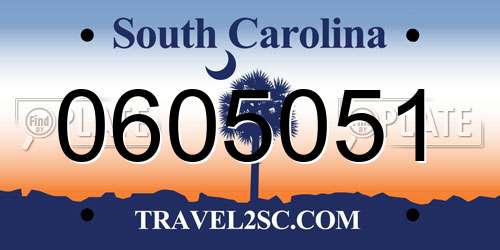0605051 South Carolina License Plate