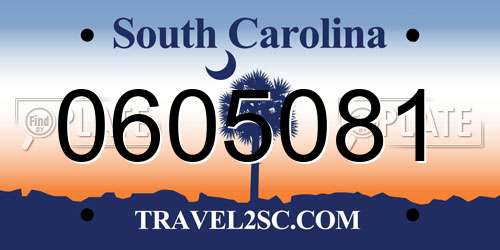 0605081 South Carolina License Plate