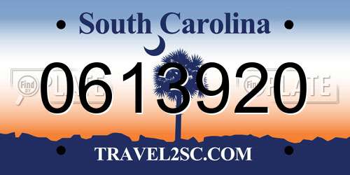 0613920 South Carolina License Plate