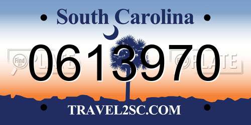 0613970 South Carolina License Plate