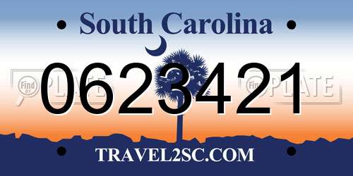 0623421 South Carolina License Plate