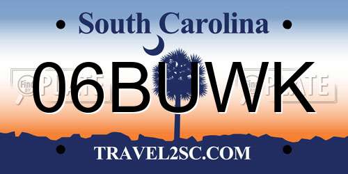 06BUWK South Carolina License Plate