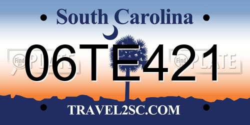 06TE421 South Carolina License Plate