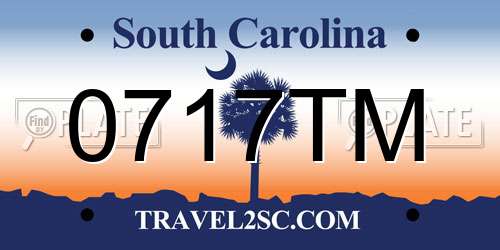 0717TM South Carolina License Plate