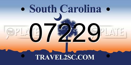 07229 South Carolina License Plate