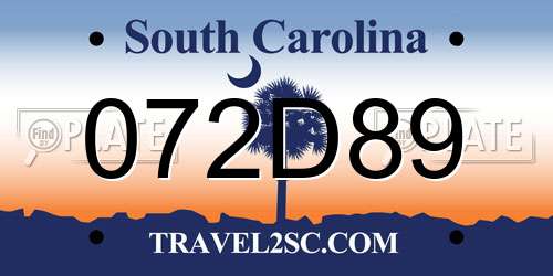 072D89 South Carolina License Plate