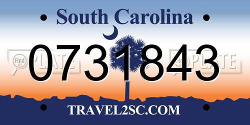 0731843 South Carolina License Plate