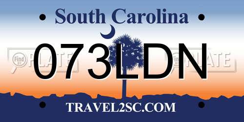 073LDN South Carolina License Plate