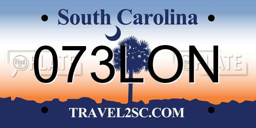 073LON South Carolina License Plate